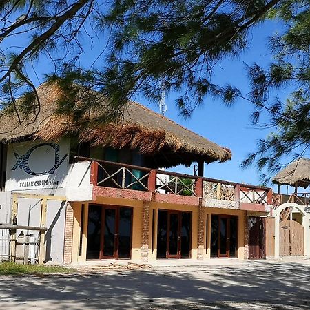 Xcalak Caribe Lodge Eksteriør billede