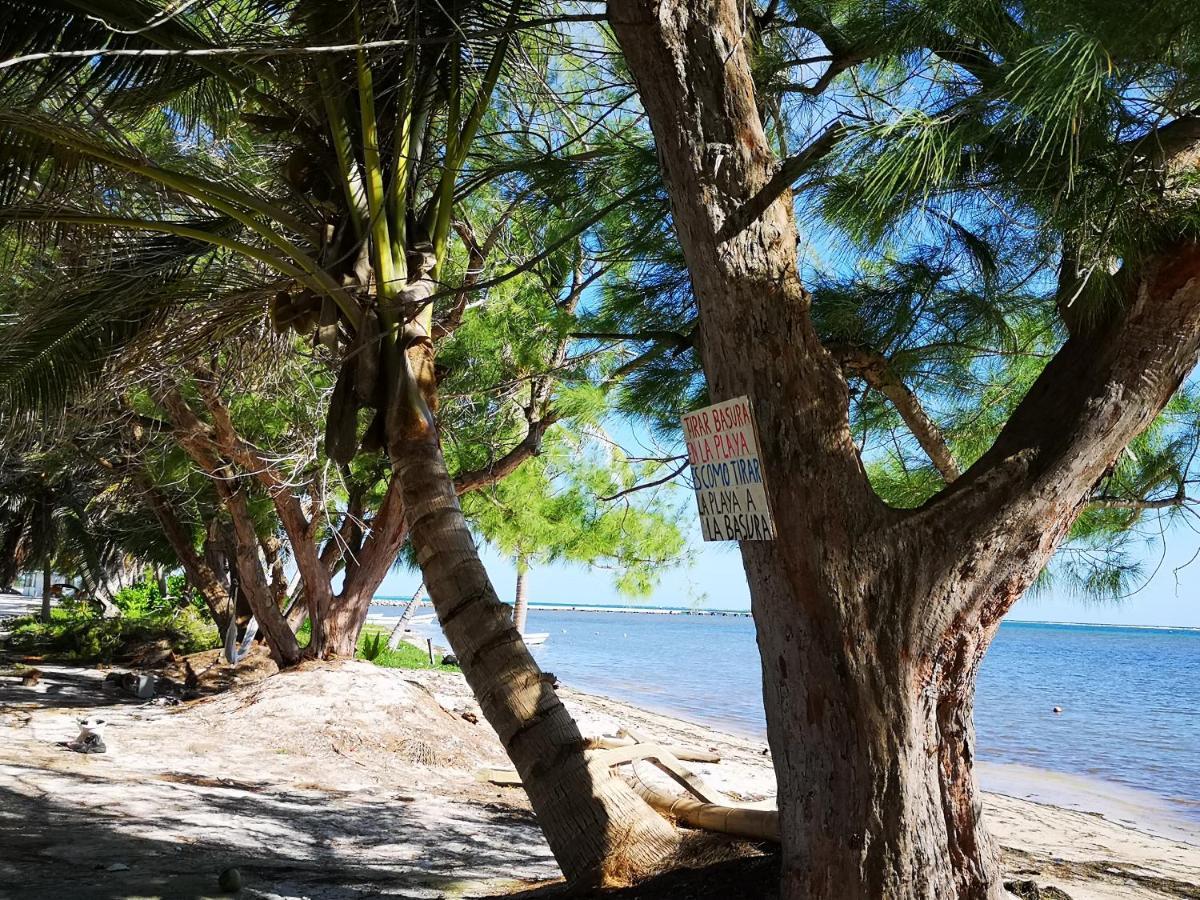 Xcalak Caribe Lodge Eksteriør billede