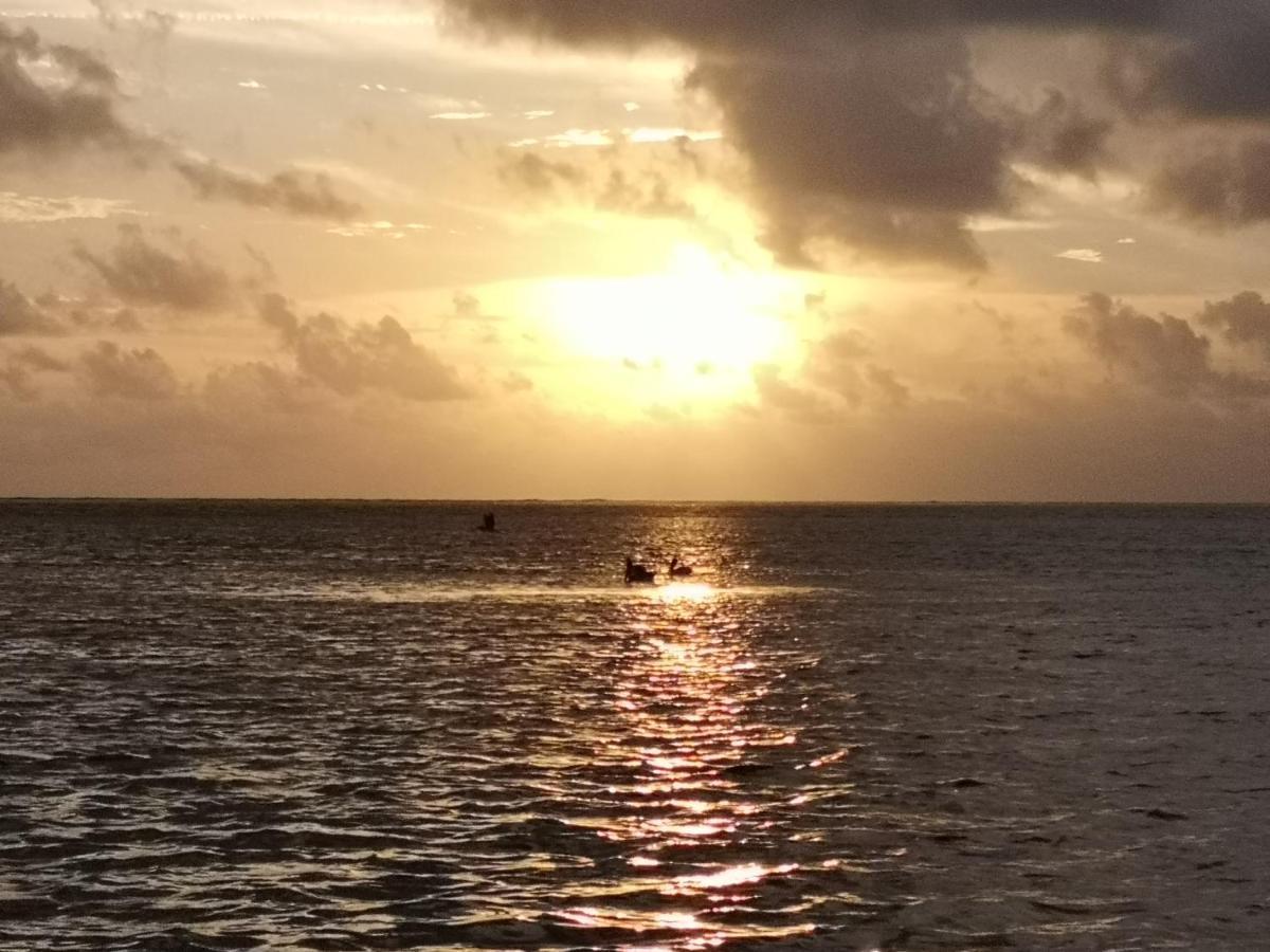 Xcalak Caribe Lodge Eksteriør billede